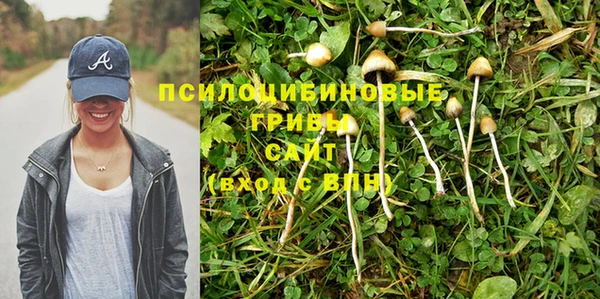 экстази Баксан