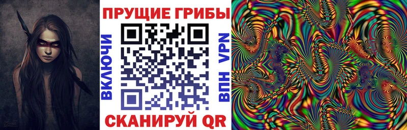 закладки  Болотное  Псилоцибиновые грибы мицелий 